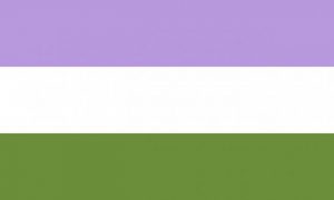 genderqueer Pride Flag