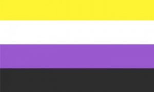 non-binary Pride Flag
