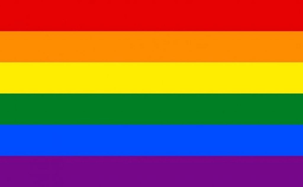 HCH176 Die Kleine Pride Flaggenkunde Chaos Und Weisheit