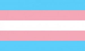 trans* Pride Flag